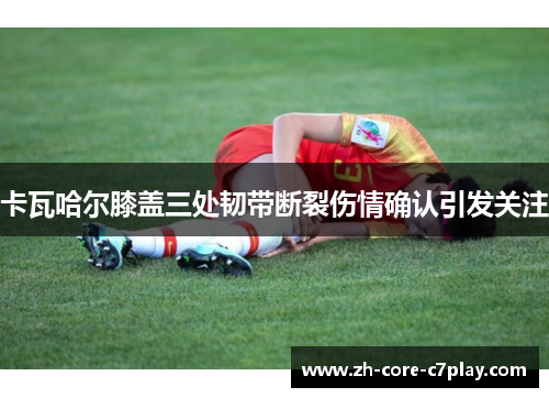 卡瓦哈尔膝盖三处韧带断裂伤情确认引发关注
